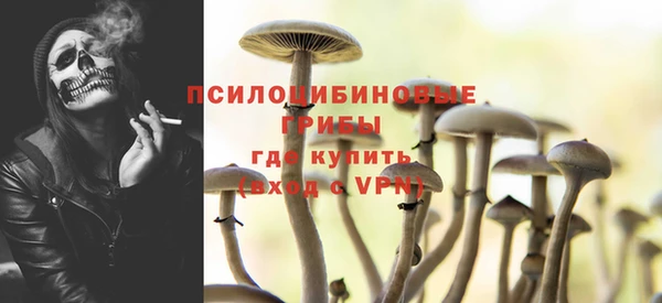 МДПВ Новокубанск