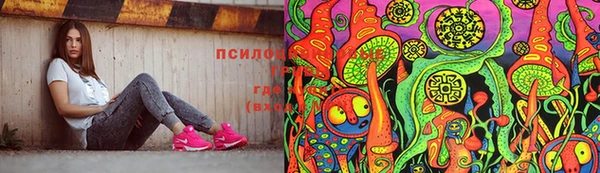 хмурый Новодвинск