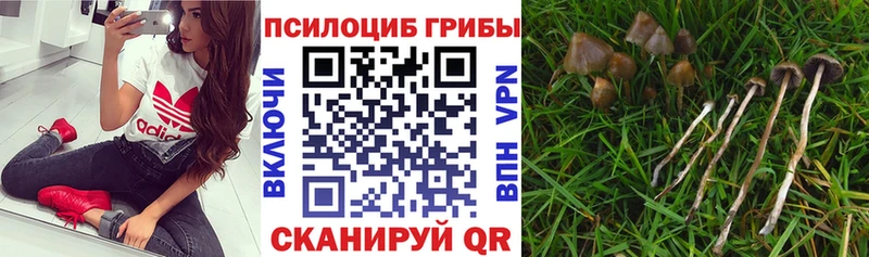 Псилоцибиновые грибы мухоморы  KRAKEN вход  Короча 