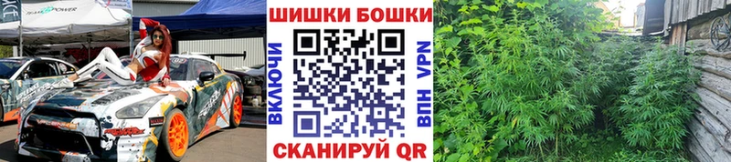 Каннабис план  как найти наркотики  Короча 